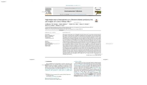 High intake rates of microplastics in aWestern Atlantic predatory fish, and insights of a direct fishery effect*